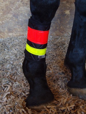 Reflective Brushing Boots For Hacking Horse And Hound Forum https forums horseandhound co uk threads reflective brushing boots for hacking 647748